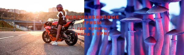 амфетамин Белокуриха
