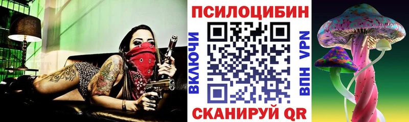 Галлюциногенные грибы Cubensis Верхняя Тура