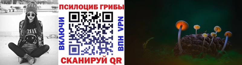 Галлюциногенные грибы мухоморы Верхняя Тура